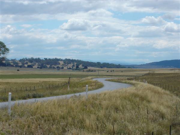 Monaro Plains - Summer (1/02/2005 - Credits: Colin McDougall)
