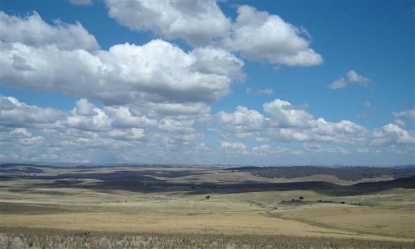 Monaro Plains (1/02/2005 - Credits: Colin McDougall)