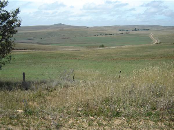 Monaro Plains (1/02/2005 - Credits: Colin McDougall)