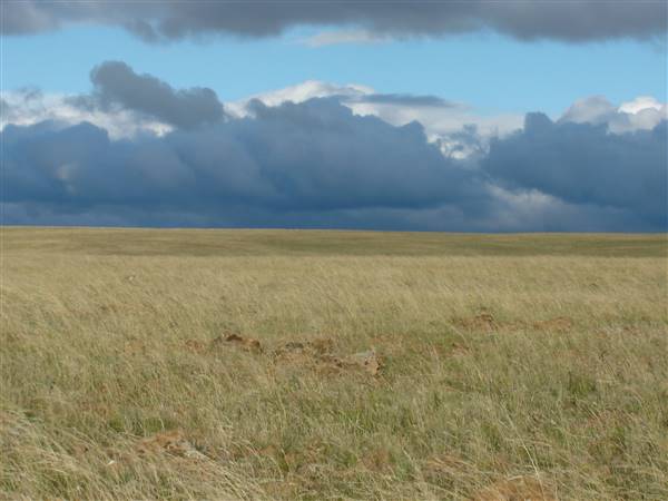 Monaro Plains (1/02/2005 - Credits: Colin McDougall)