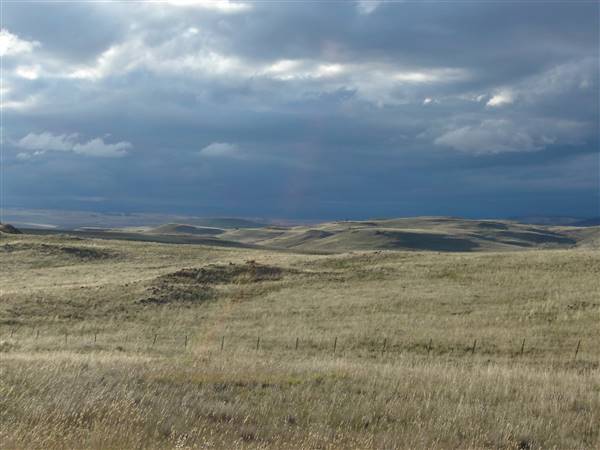 Monaro Plains (1/02/2005 - Credits: Colin McDougall)