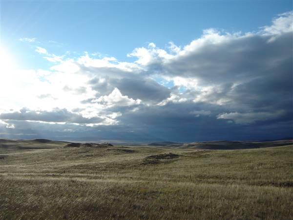 Monaro Plains (1/02/2005 - Credits: Colin McDougall)