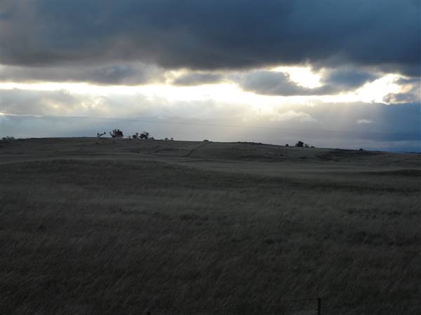 Monaro Plains (1/02/2014 - Credits: Colin McDougall)