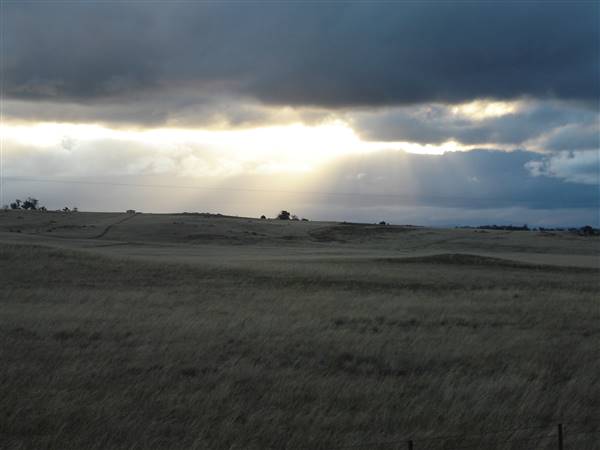 Monaro Plains (1/02/2014 - Credits: Colin McDougall)