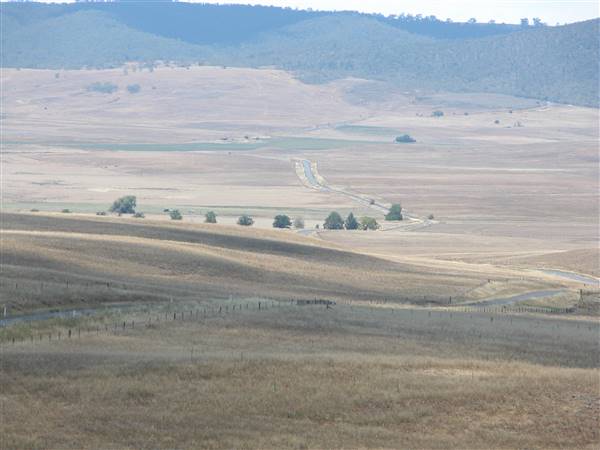 Monaro Plains (1/02/2014 - Credits: Colin McDougall)