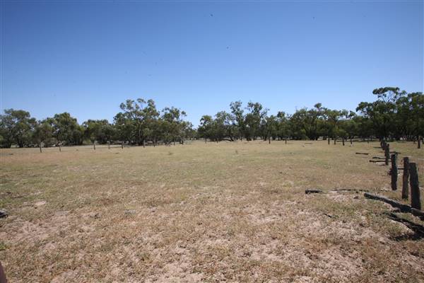 Bindara Station on the Darling - Period Homestead & Outbuildings (20/11/2015)