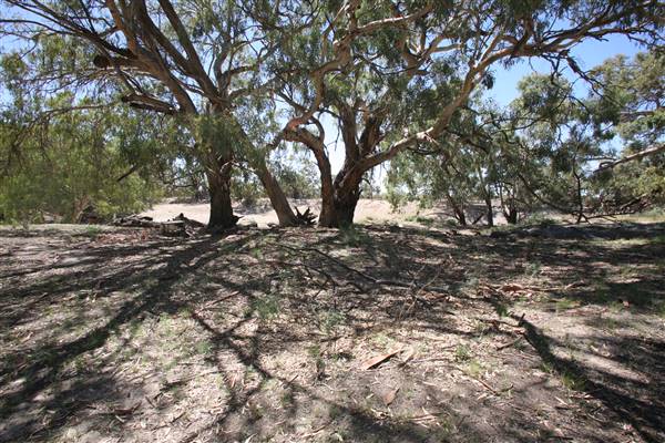 Bindara Station on the Darling - Period Homestead & Outbuildings (20/11/2015)