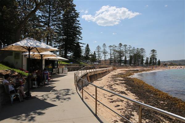Dee Why Beach and Surrounds (20/11/2015 - Credits: Lisa Scope)