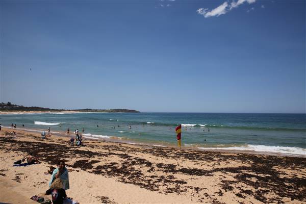 Dee Why Beach and Surrounds (20/11/2015 - Credits: Lisa Scope)