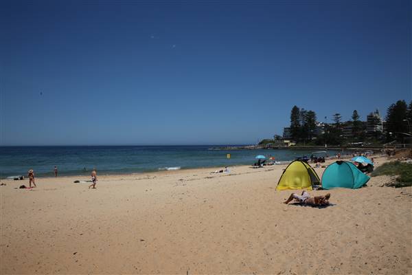 Dee Why Beach and Surrounds (20/11/2015 - Credits: Lisa Scope)