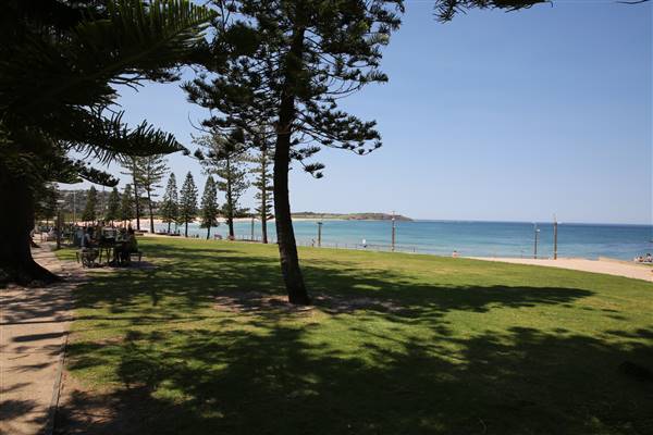 Dee Why Beach and Surrounds (20/11/2015 - Credits: Lisa Scope)