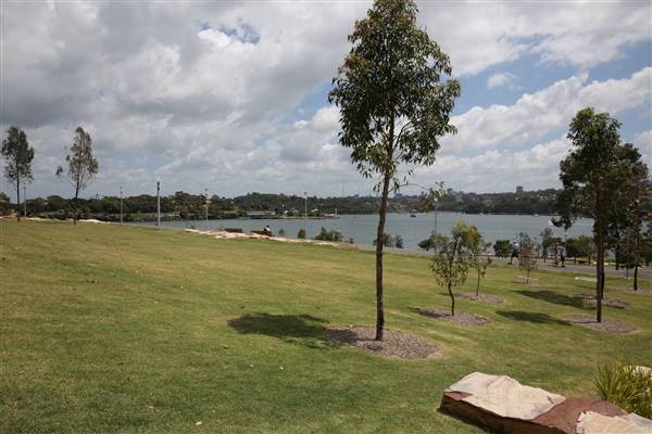 Barangaroo Reserve (25/11/2015)