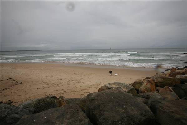 Cronulla Beach (26/11/2015 - Credits: Lisa Scope)