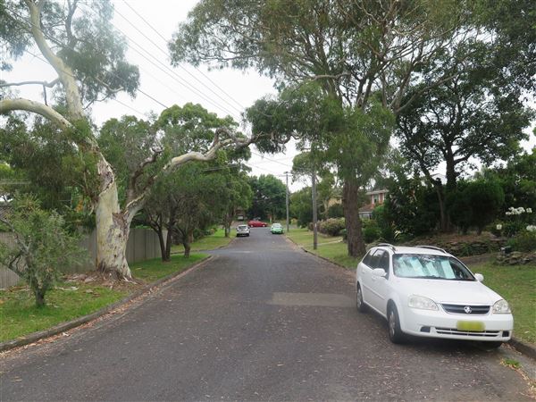 Mona Vale neighborhood (9/12/2015)
