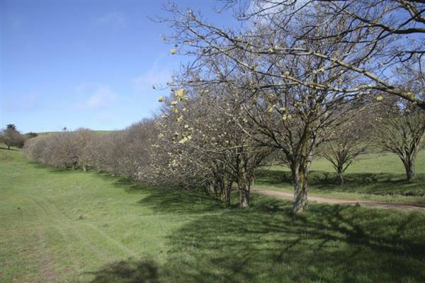 Private House - Crookwell (5/02/2016)