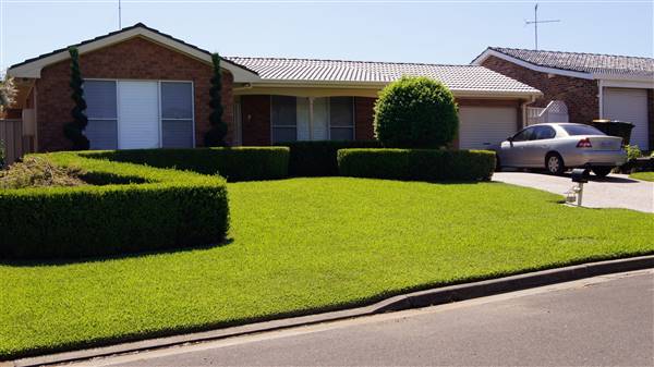 Quakers Hill Houses (9/03/2016 - Credits: Shannon Wheeler)