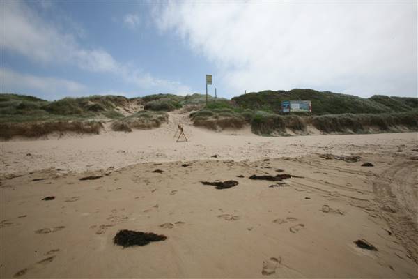 Cronulla Beach North End (Greenhills) (15/03/2016)