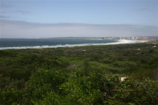 Cronulla Beach North End (Greenhills) (15/03/2016)