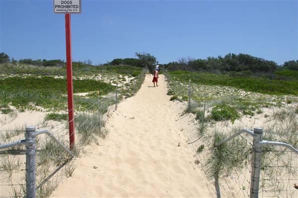 South Maroubra Beach (2/02/2006 - Credits: Lisa Scope)