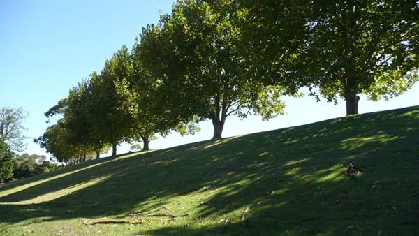 St Ignatius College, Riverview - Grounds/Sportsfields (20/04/2016)