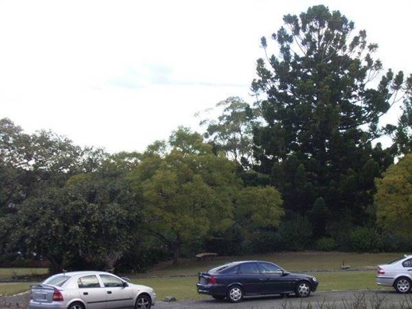 St Ignatius College, Riverview - Grounds/Sportsfields (20/04/2016)
