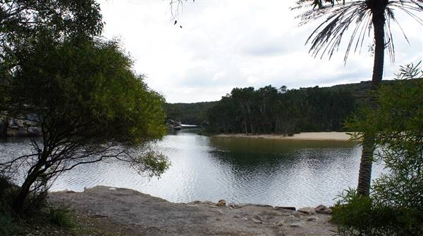 Wattamolla Beach (1/07/2016 - Credits: Mary Barltrop)