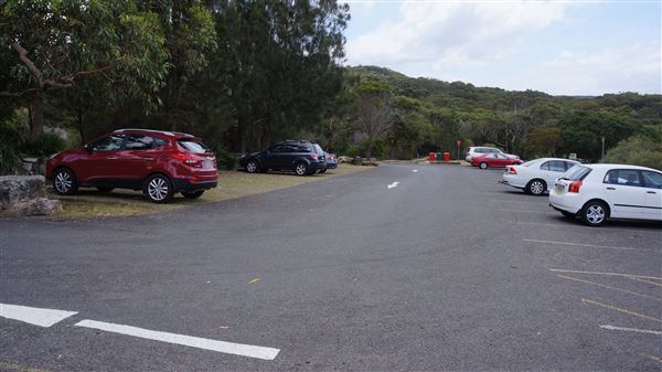 Wattamolla Beach (1/07/2016 - Credits: Mary Barltrop)