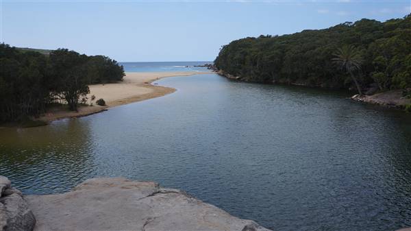 Wattamolla Beach (1/07/2016 - Credits: Mary Barltrop)