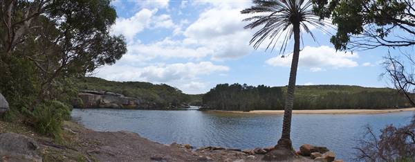 Wattamolla Beach (1/07/2016 - Credits: Mary Barltrop)