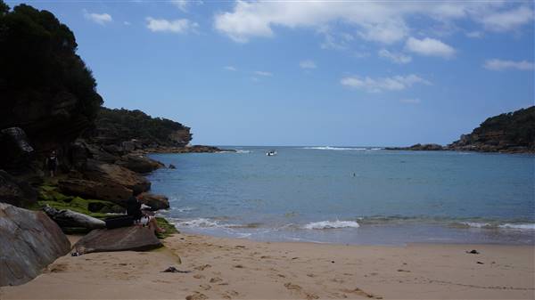 Wattamolla Beach (1/07/2016 - Credits: Mary Barltrop)