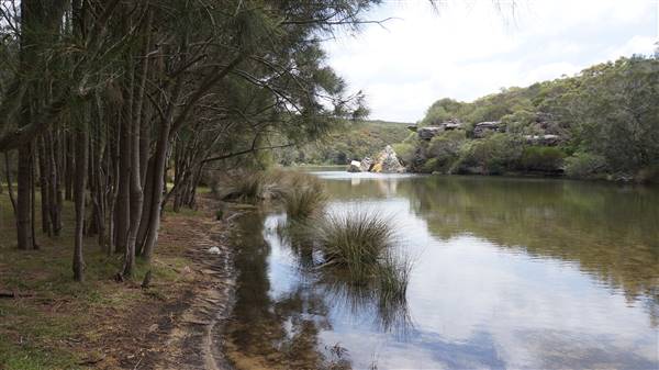 Wattamolla Beach (1/07/2016 - Credits: Mary Barltrop)