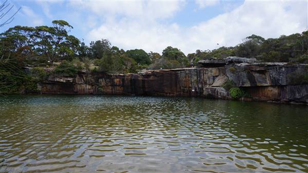 Wattamolla Beach (1/07/2016 - Credits: Mary Barltrop)