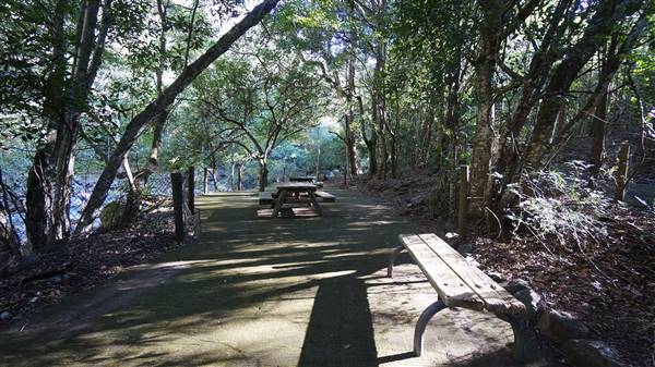 Minnamurra Rainforest Walk - Budderoo National Park (2/07/2016 - Credits: Mary Barltrop)