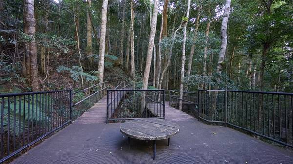 Minnamurra Rainforest Walk - Budderoo National Park (2/07/2016 - Credits: Mary Barltrop)