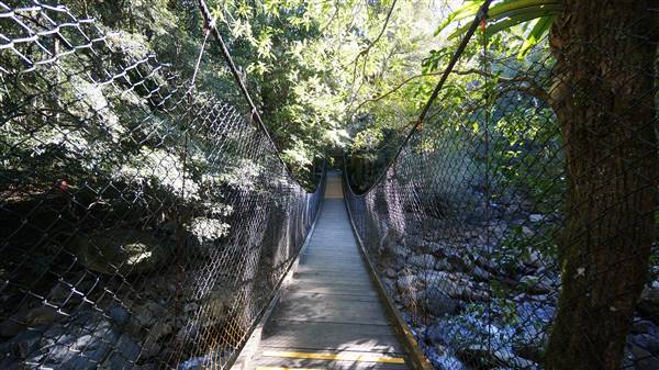 Minnamurra Rainforest Walk - Budderoo National Park (2/07/2016 - Credits: Mary Barltrop)