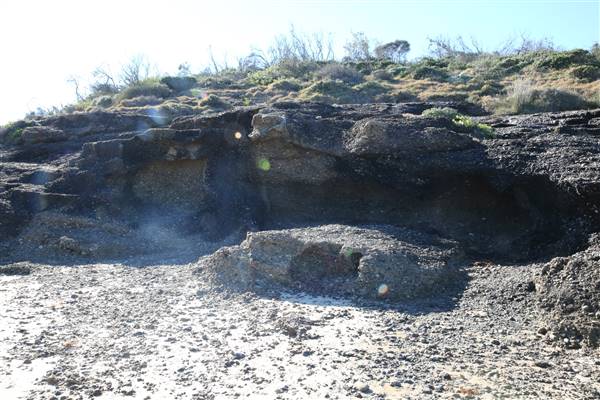 Munmorah State Conservation Area - Snapper Pt and Bongon Beach (4/07/2016)