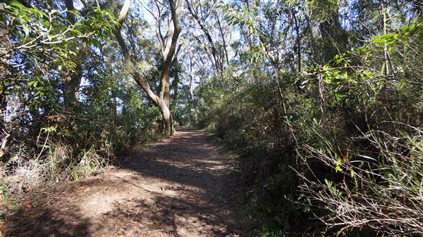 Fitzroy Falls & Twin Falls - Morton National Park (4/07/2016 - Credits: Mary Barltrop)