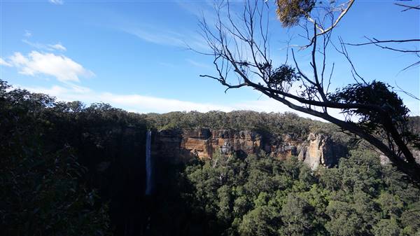 Fitzroy Falls & Twin Falls - Morton National Park (4/07/2016 - Credits: Mary Barltrop)