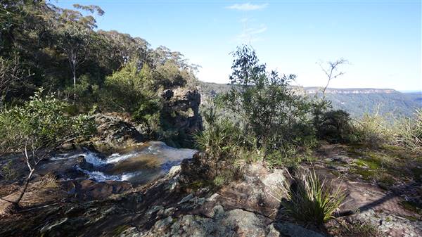 Fitzroy Falls & Twin Falls - Morton National Park (4/07/2016 - Credits: Mary Barltrop)