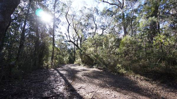 Fitzroy Falls & Twin Falls - Morton National Park (4/07/2016 - Credits: Mary Barltrop)