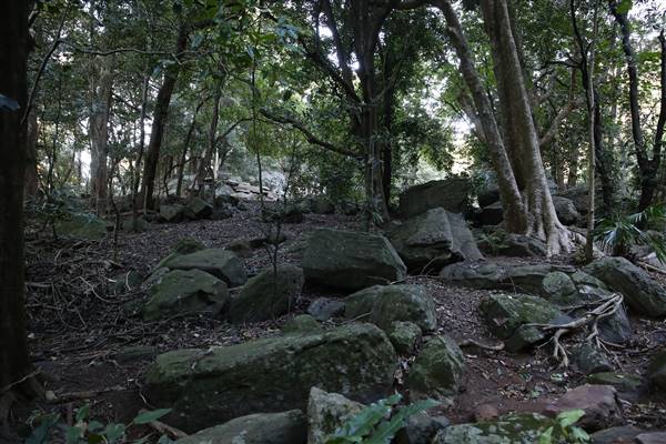 Mount Keira Scout Camp File 1 (5/07/2016)