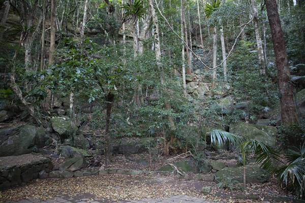 Mount Keira Scout Camp File 1 (5/07/2016)