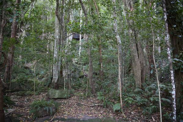 Mount Keira Scout Camp File 1 (5/07/2016)