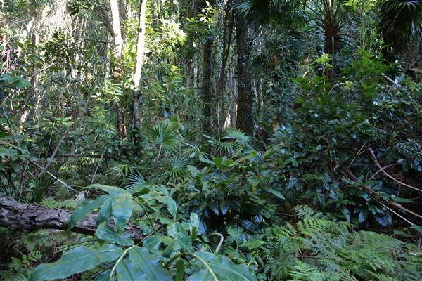 Mount Keira Scout Camp File 1 (5/07/2016)