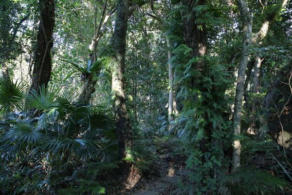 Mount Keira Scout Camp File 1 (5/07/2016)