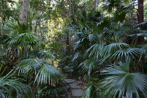 Mount Keira Scout Camp File 1 (5/07/2016)