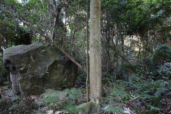 Mount Keira Scout Camp File 1 (5/07/2016)