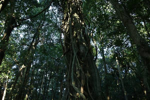 Mount Keira Scout Camp File 1 (5/07/2016)