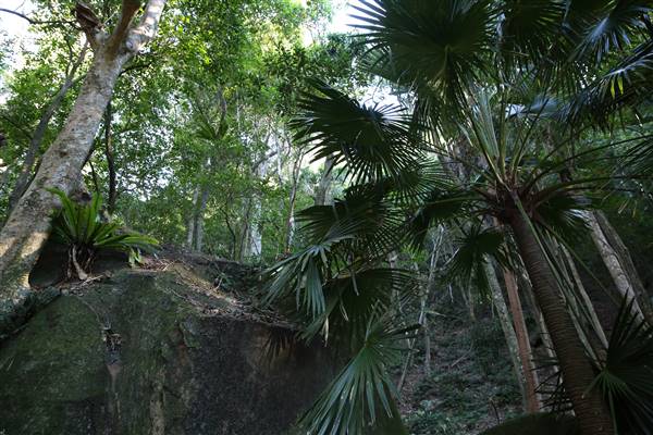 Mount Keira Scout Camp File 1 (5/07/2016)