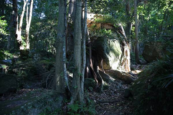 Mount Keira Scout Camp File 1 (5/07/2016)